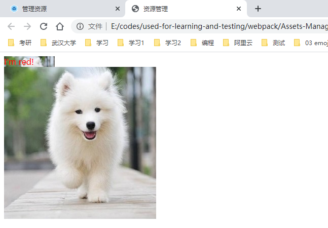 image-20200501153314378