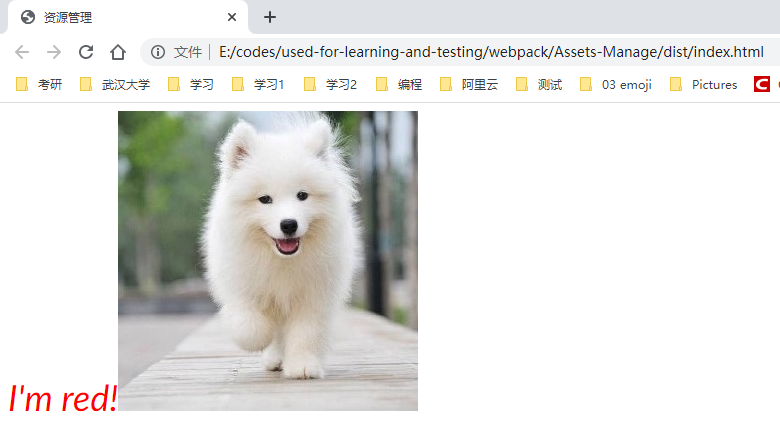 image-20200501193806395